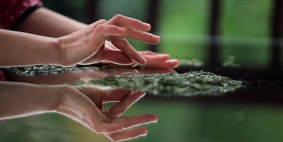 川茶峨眉山竹叶青,川茶竹叶青走向世界的视频