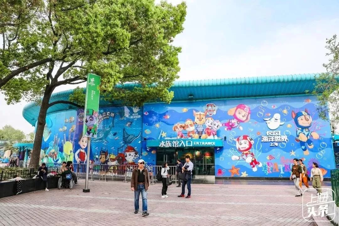 吵翻了！魔都16区终于正面PK！哪个是你心中的C位担当？