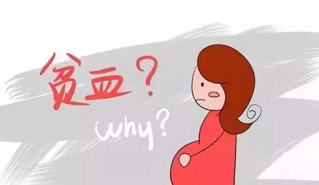 孕期营养性贫血怎么补,孕期查出贫血应该怎么补