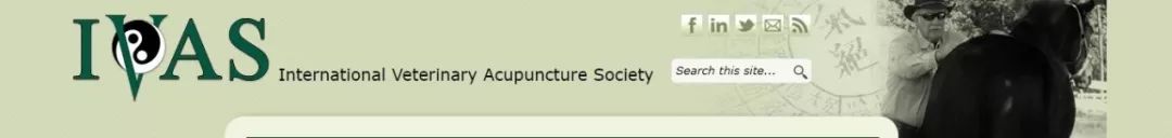 中医治狗病,中医能治狗骨科吗