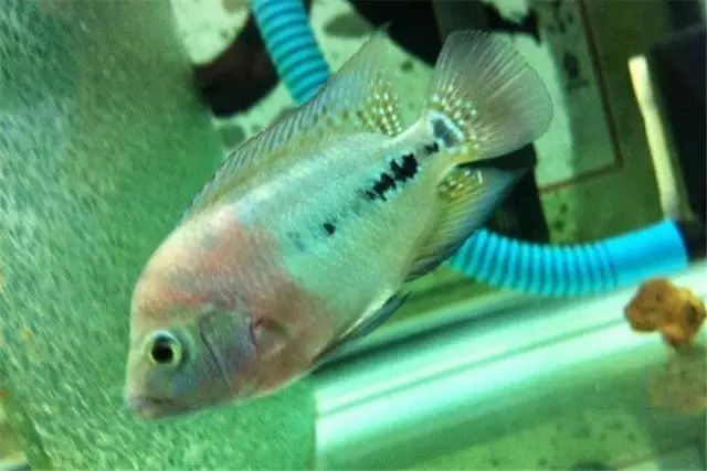 经验教训方面的收获,经验教训案例