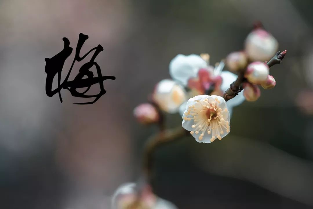 腾讯、联通、新东方都准备来华师“抢人”，本周就业讲座通知汇总，赶紧安排一下！