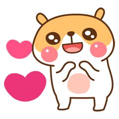 福建省厦门市编制教师招聘公告,厦门市编内工作人员招录