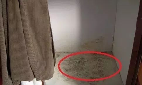 墙体霉菌还能致癌？拯救陈年老霉的*器武**，杀菌率99%！