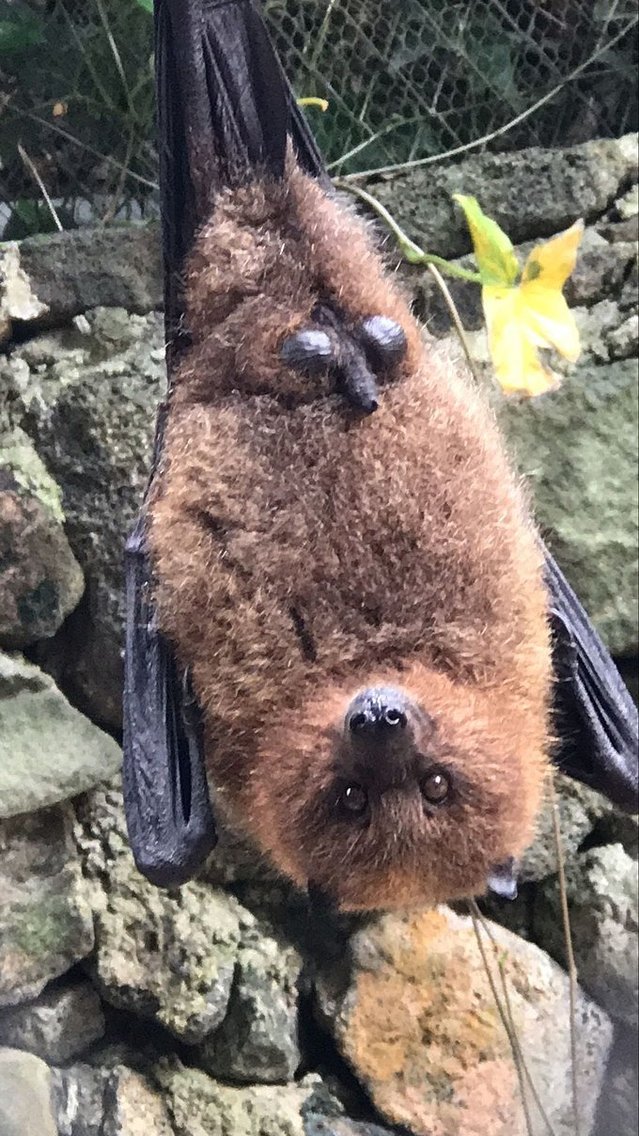 超美媳妇儿与你逃之夭夭大头强小蛮夭毛里求斯蜜月盛典~