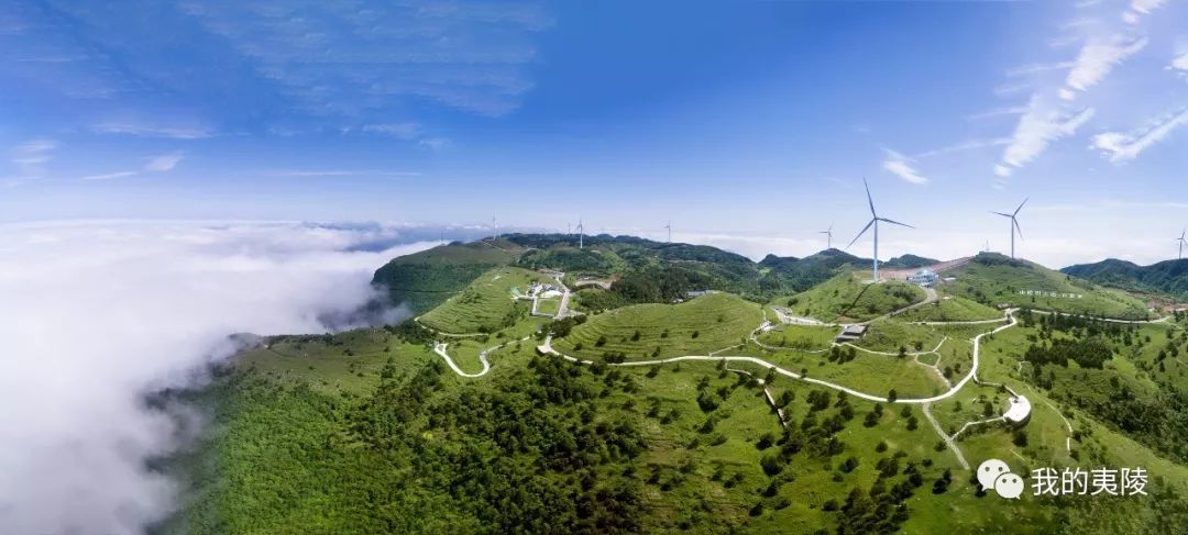 夷陵美|冬去春来~