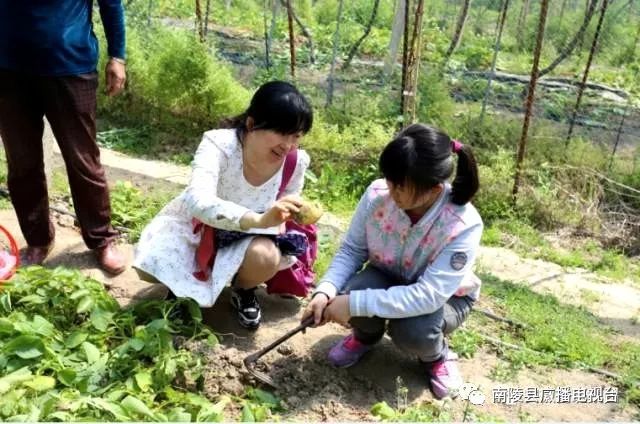 南陵县乡村旅游攻略,南陵县十大旅游景点有哪些