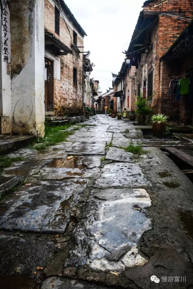 深渡镇旁边拍油菜花最佳位置在哪,深坡花海