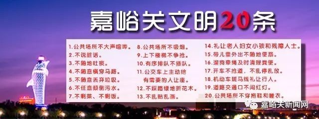甘肃省嘉峪关市小学报名划片,嘉峪关义务教育划片区