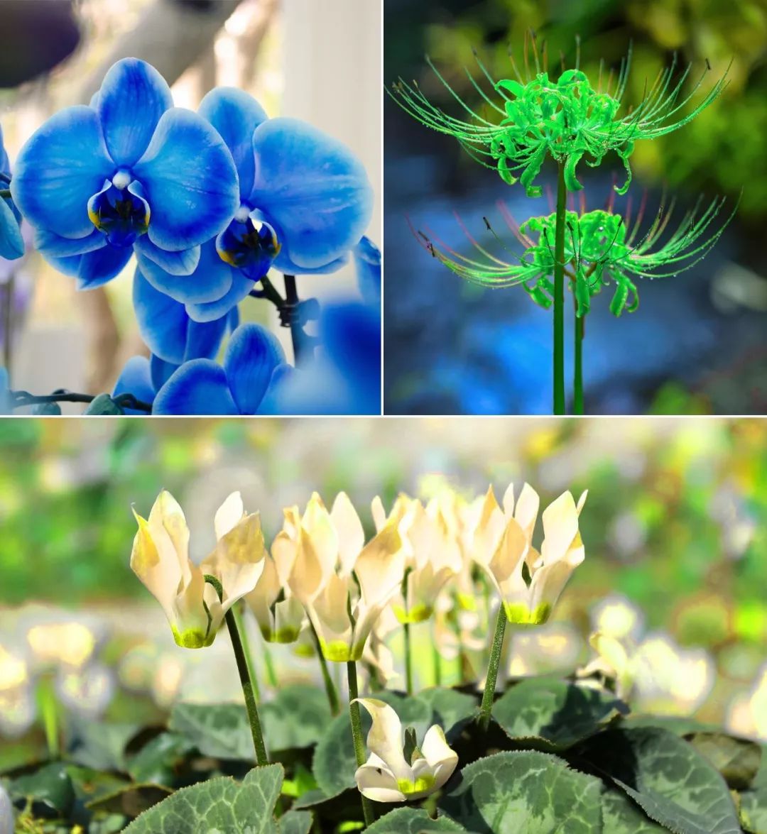 三个方法看透所有谎言,三个方法辨别谎言