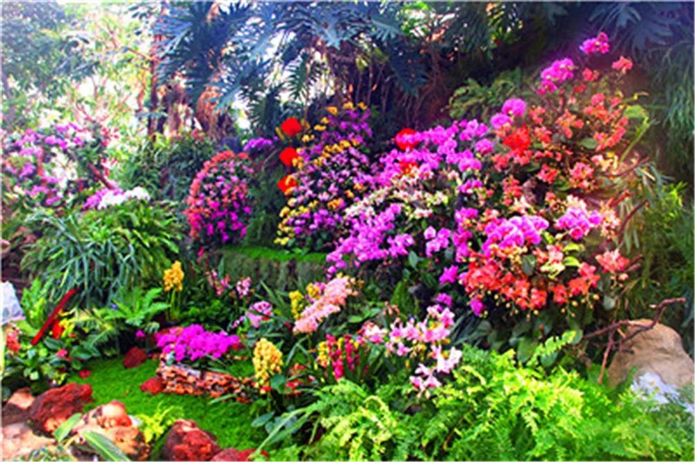 景观花海攻略,花海踏春旅游景点