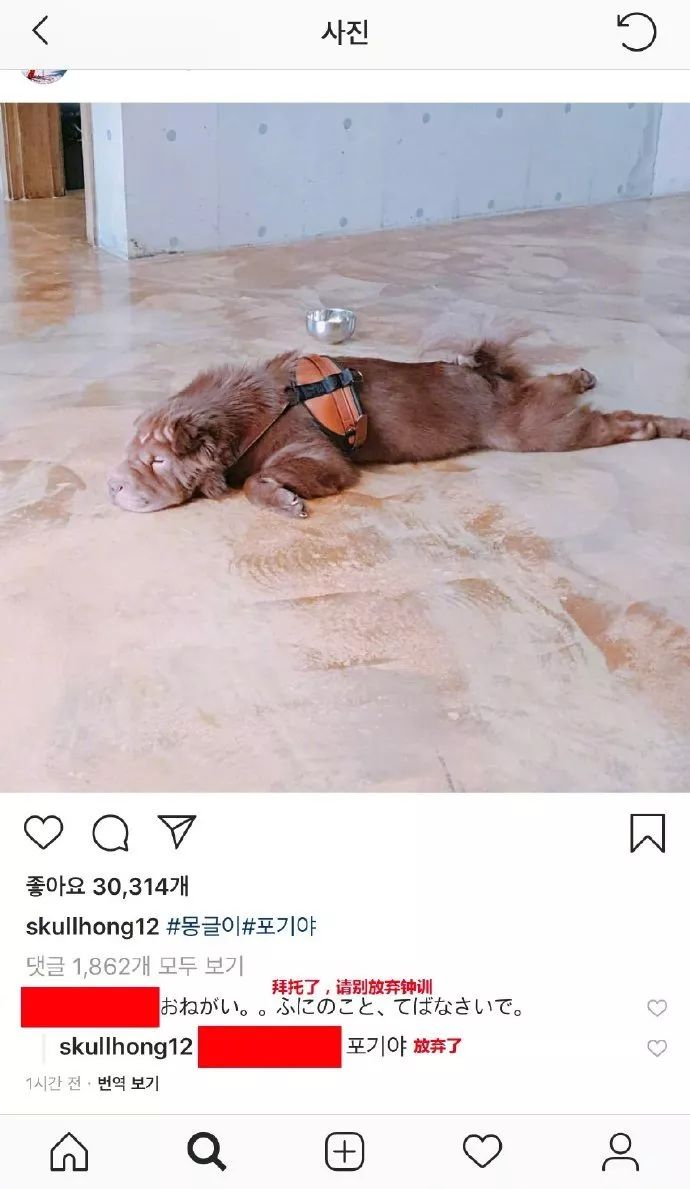 “胜利门”彻底撼动韩国！除了给娱乐圈大洗牌，还正式掀开了韩国*商勾官**结的遮羞布...