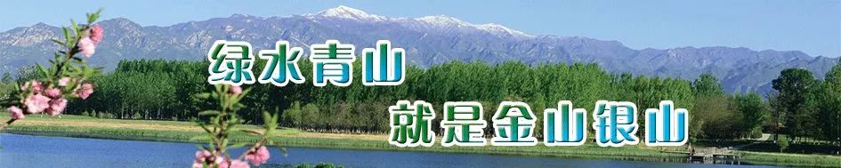 温州s2线最新时刻表,s2线最新时刻表