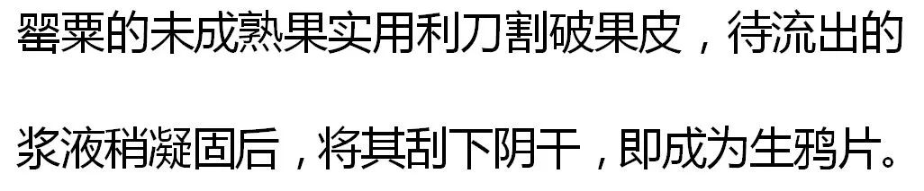 漫谈漫说,漫说禁毒漫画