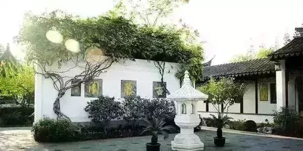 上海70岁老人免费景点大全,上海自驾游免费景点