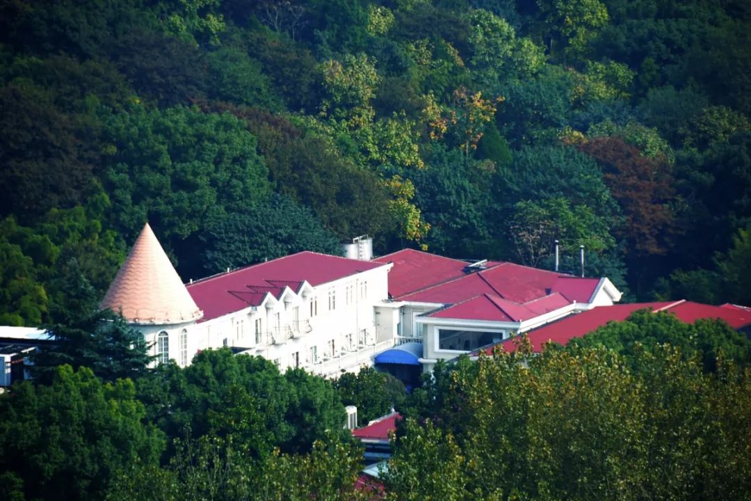 上海旅游景点一览表最新攻略,上海免费景点推荐穷游