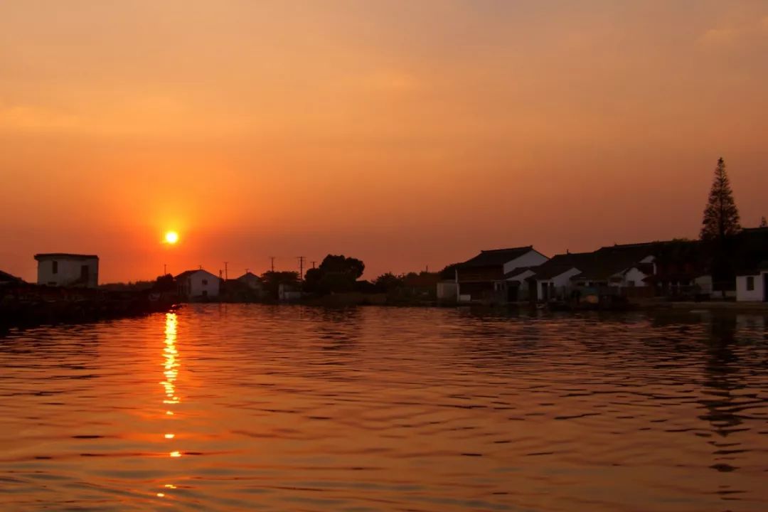 上海免费景点排行榜前十名,上海闵行区免费景点大全