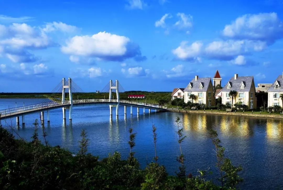 上海70岁老人免费景点大全,上海自驾游免费景点