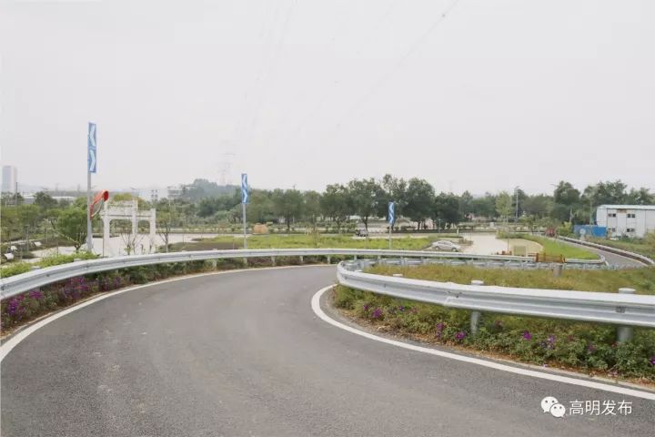 禾雀花美翻三月天,禾雀花盛开美翻三月天