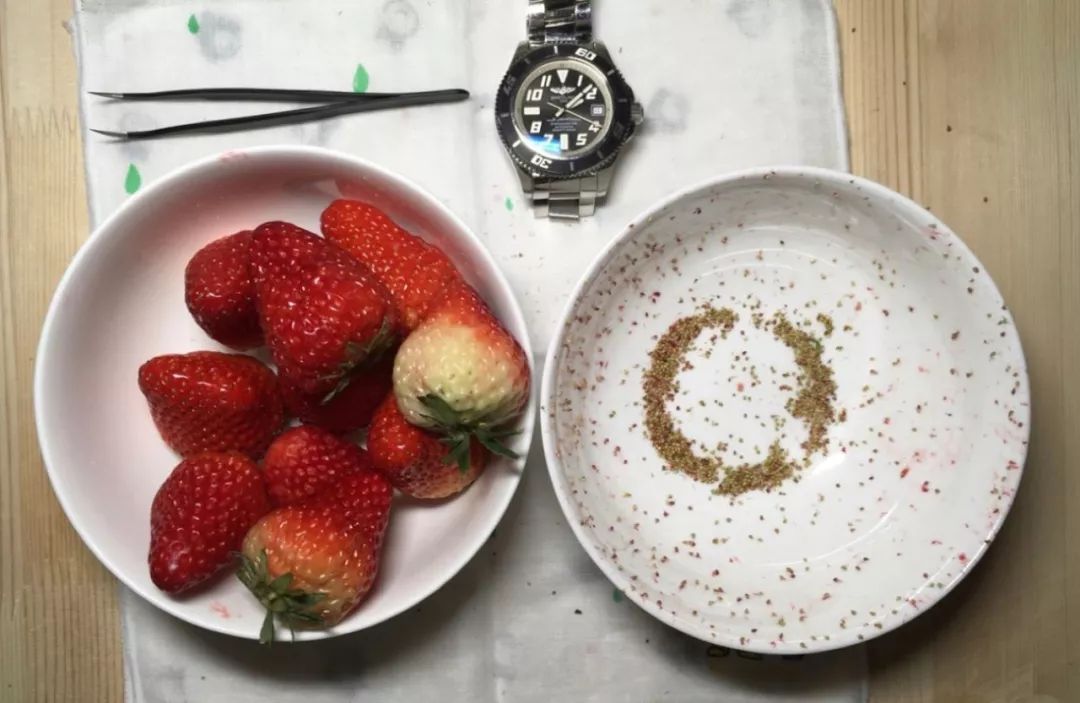 这大概是全世界最无聊的人了