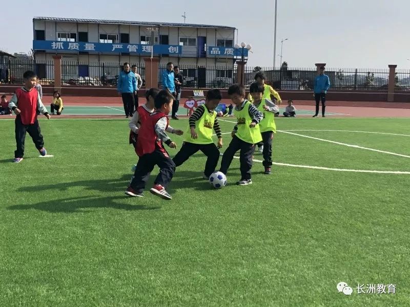 红领巾小健将活动感受,红领巾小健将