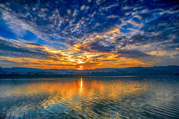 春游郑州这份赏花攻略请收好,郑州自驾踏青赏花好去处