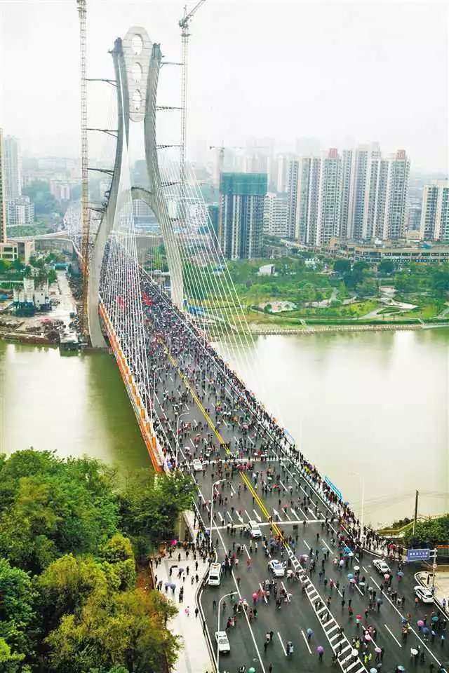 过河记,小白过河记完整版视频