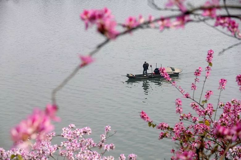 螺蛳粉征服世界,螺蛳粉征服全世界