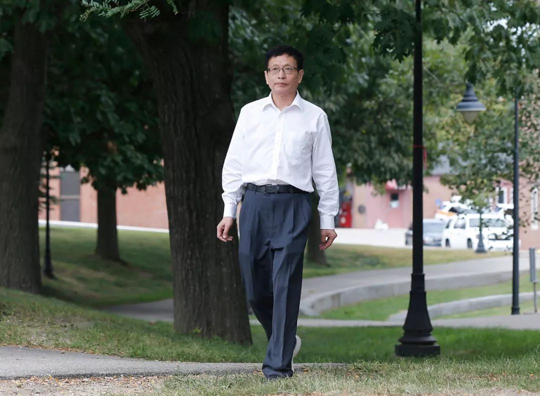 我的数学家张益唐,张益唐妹妹的文章