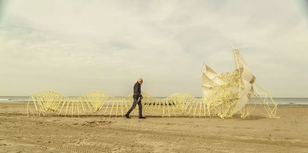 海边，他养了一群吃风的怪兽