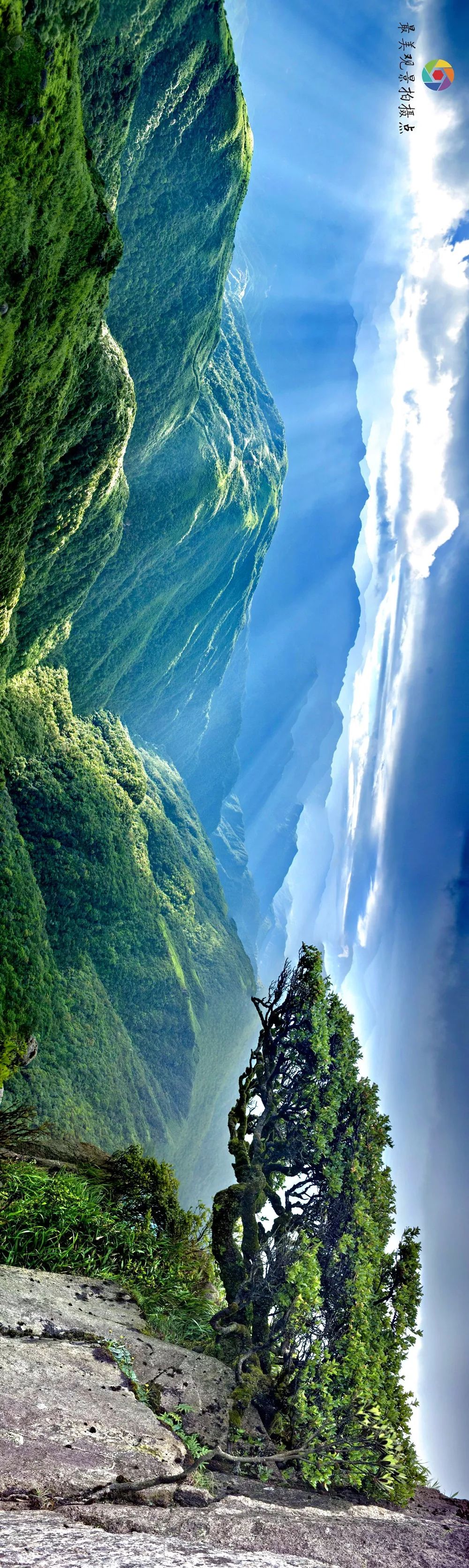 中国897个国家森林公园