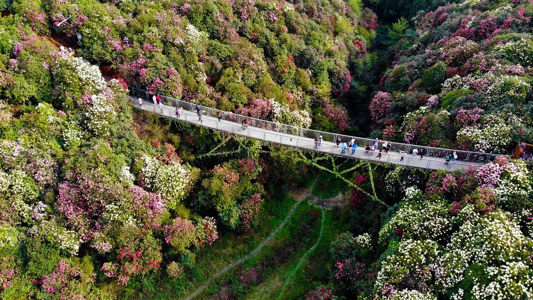 中国897个国家森林公园