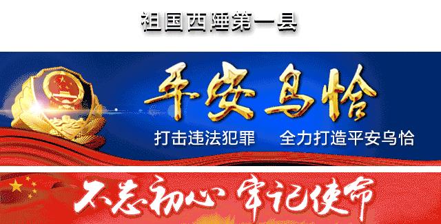 公安民警王军,交警大队王军