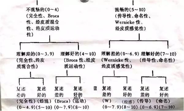 “让失语者重新成为朗读者”连载二--失语症治疗的临床案例