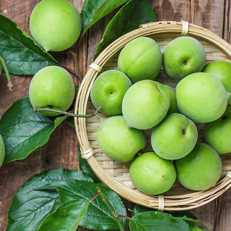 西梅到底是李子还是梅子,西梅到底是李子还是梅子呢