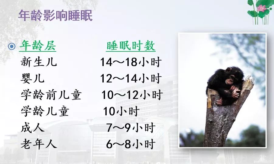 泰达医院睡眠中心,睡眠医学最好的医院