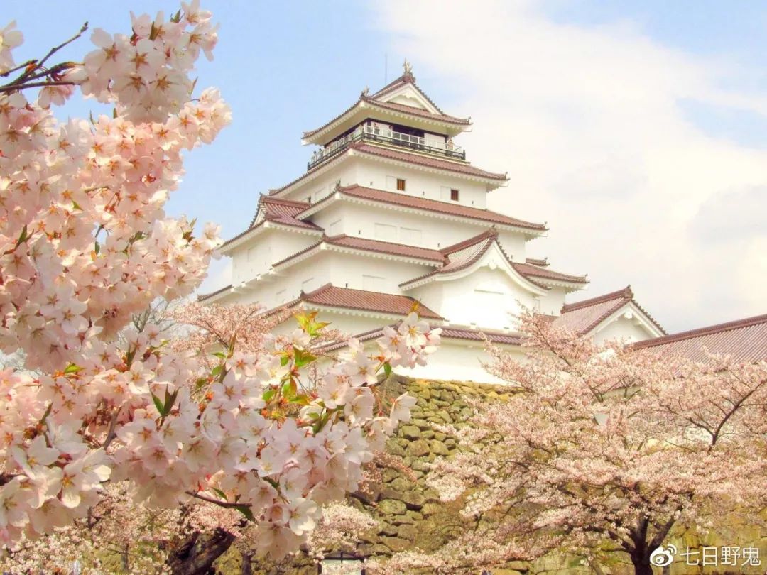 2019年日本大赏排行榜,2018全日本赏樱花旅游攻略