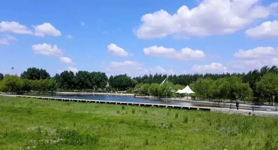 哈尔滨哪里有五人制足球场,哈尔滨足球场