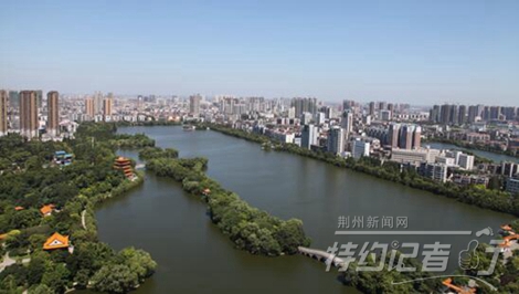 特约记者行最新视频,特约记者行俯瞰荆州醉美油菜花海