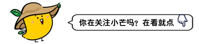 海南离岛免税10周年折扣,代表建议借鉴海南离岛免税模式