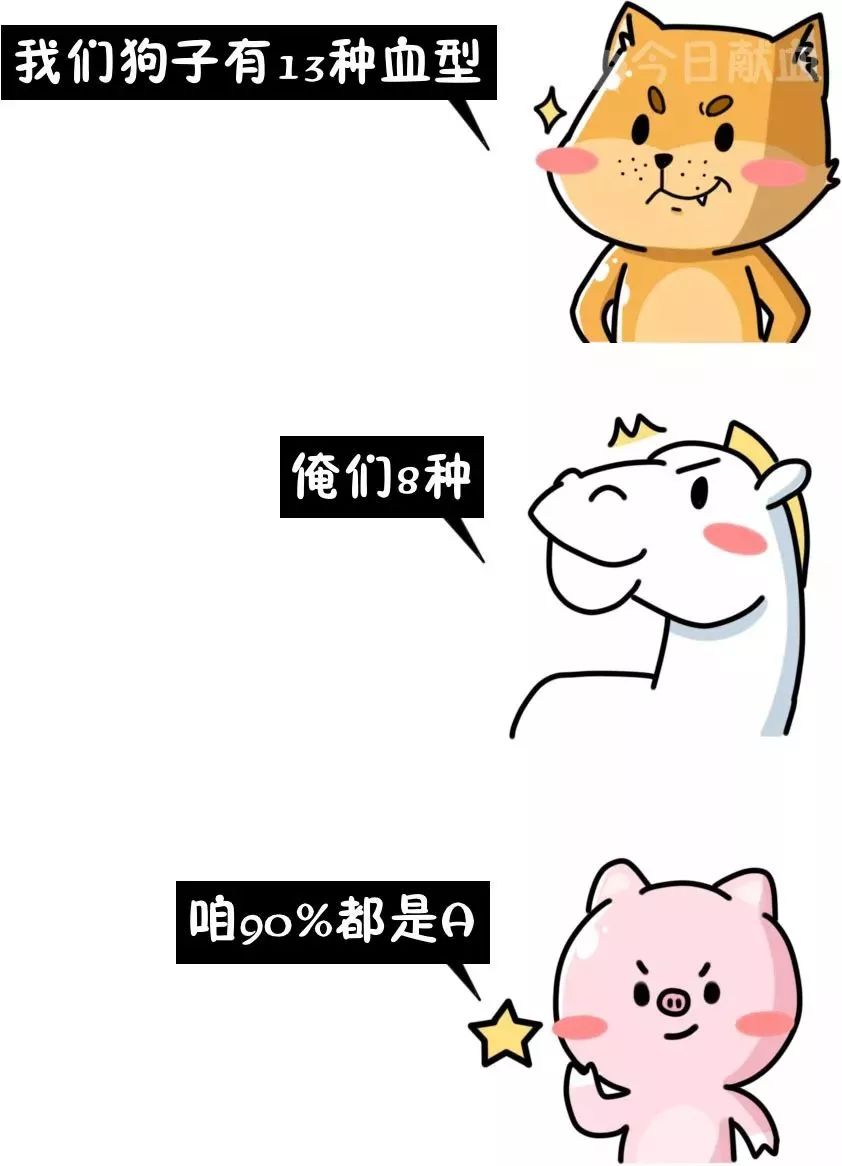 炸了,血型居然有100000000多种……