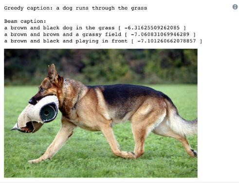 四个任务四张图,深度神经网络模型和认知大模型