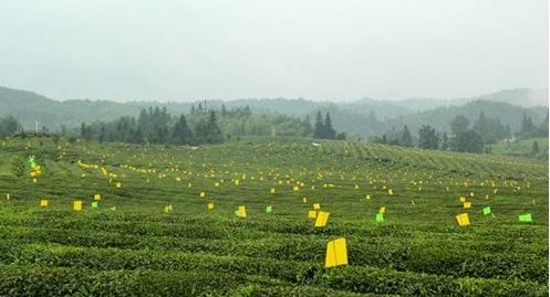 山东众得丰农化助力作物增产增收,节水灌溉增产增收利国利民