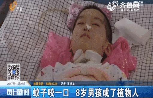 夏天消灭蚊子用蚊香还是杀虫剂,蚊香液消灭蚊子全过程