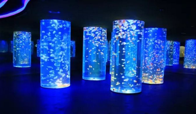 聊城海底世界游玩攻略,从聊城出发亲子游