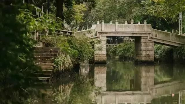 广州适合春游的免费景点,春游广州最适合去的地方