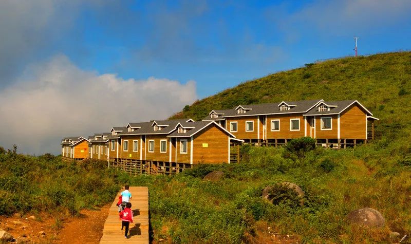 福建树屋酒店推荐,福建特色树屋民宿度假屋特点