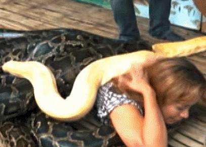 张雨绮猪油抹脸,张雨绮猪油膏