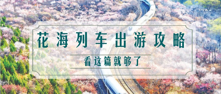 你抢到小长假车票了吗,十一假期购票攻略