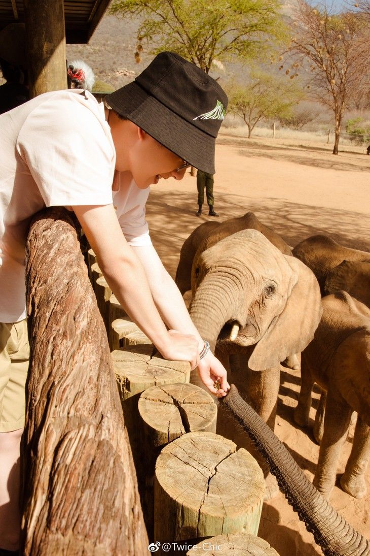 周迅香奈儿高定,周迅种草四件套